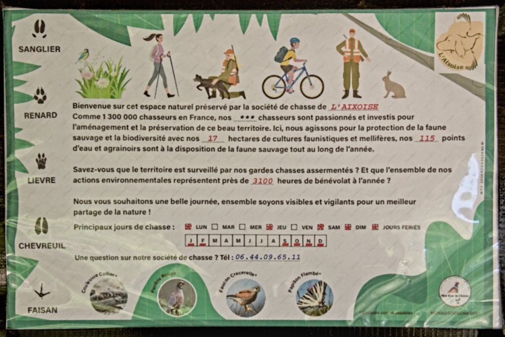 03 05 2024 - Rando Photos (15).jpg
