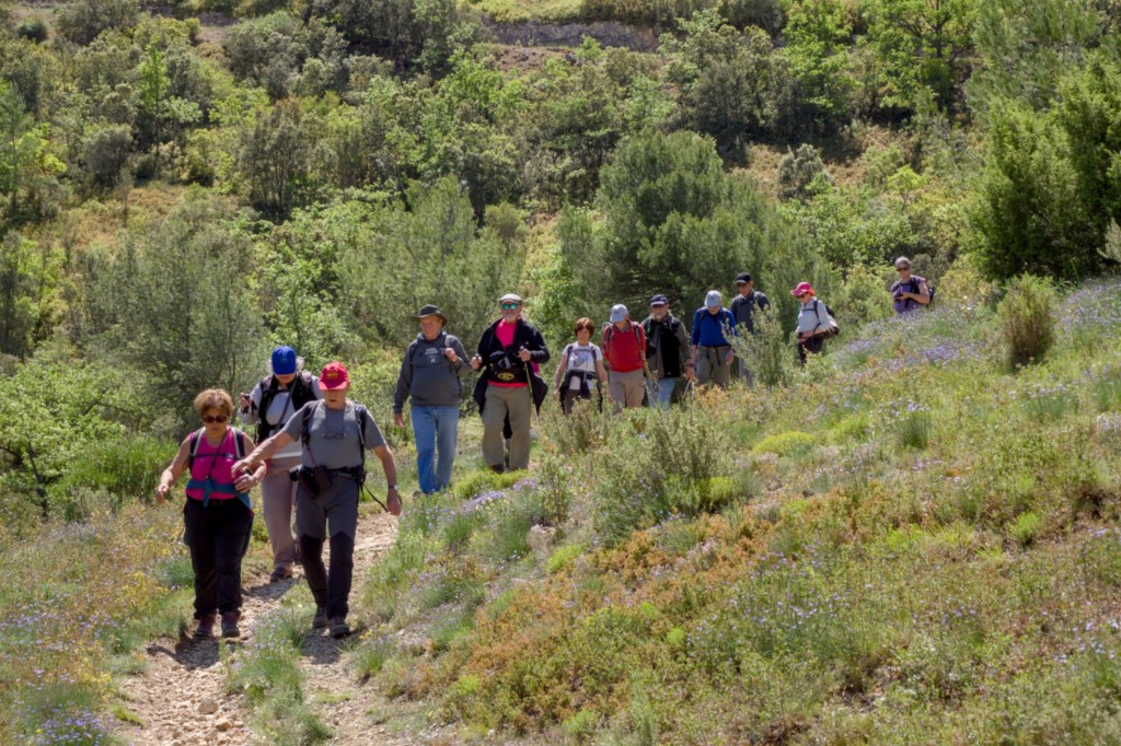 03 05 2024 - Rando Photos (23).jpg
