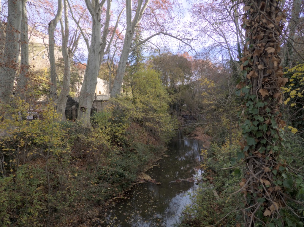 03 12 2024 - Rando Photos (8).jpg