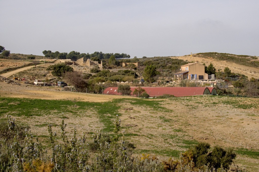 06 02 2024 - Rando Photo (14).jpg