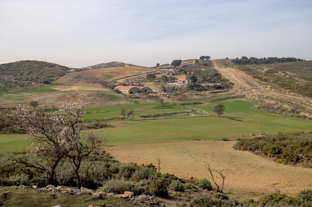 06 02 2024 - Rando Photo (22).jpg