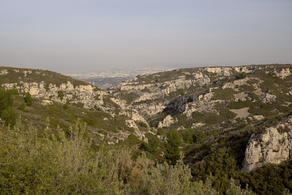 06 02 2024 - Rando Photo (7).jpg