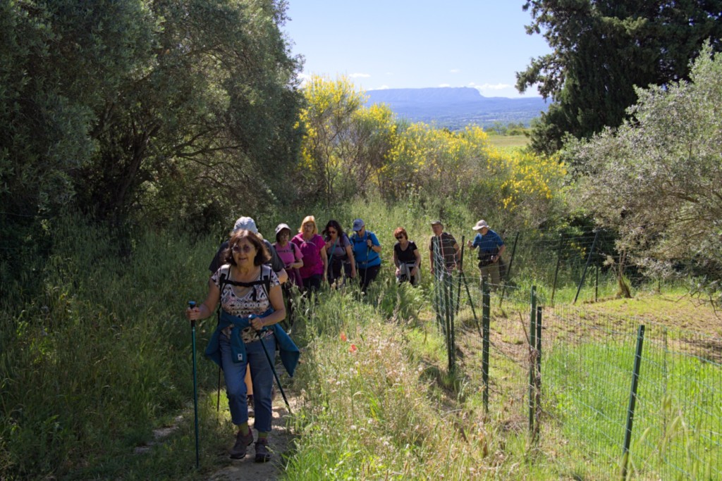 21 05 2024 - Rando Photos (10).jpg