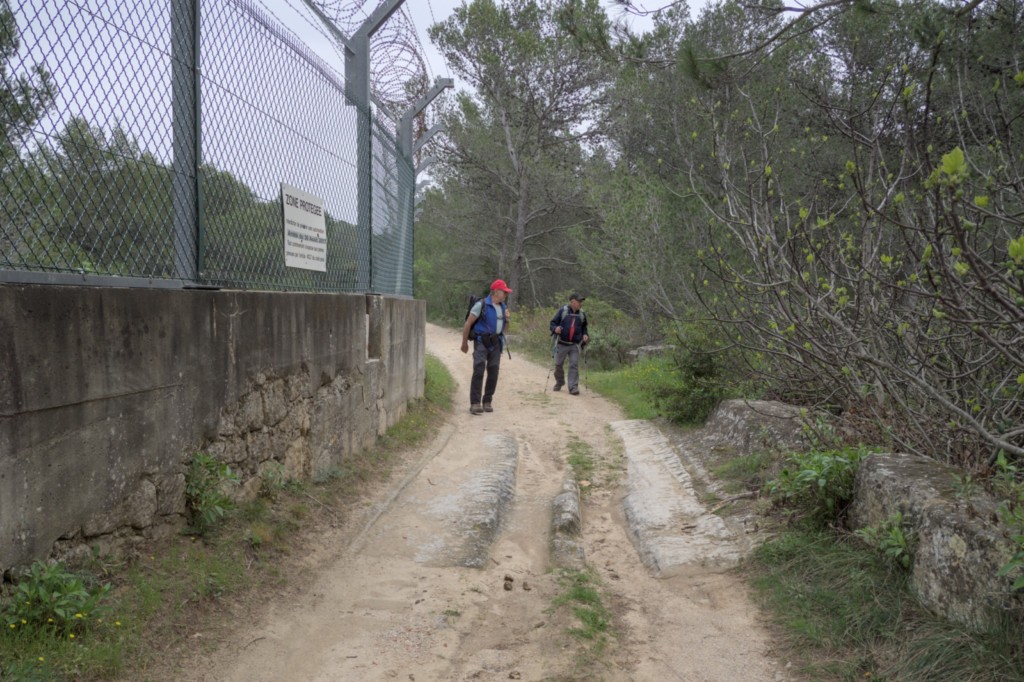 29 03 2024 - Rando Photos (42).jpg