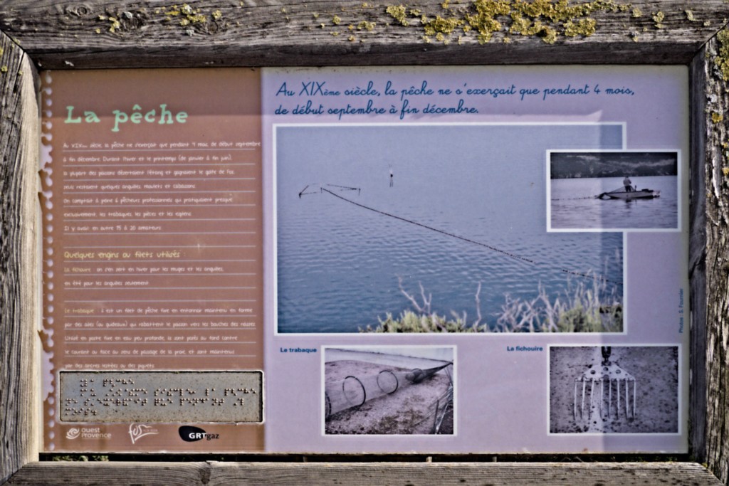29 10 2024 - Rando Photos (23).jpg