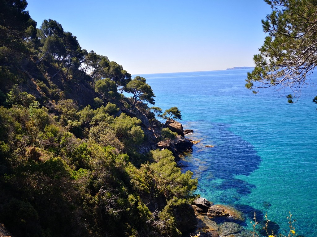 Jardin des Méditerranées - 03 06 2024 (12).jpg