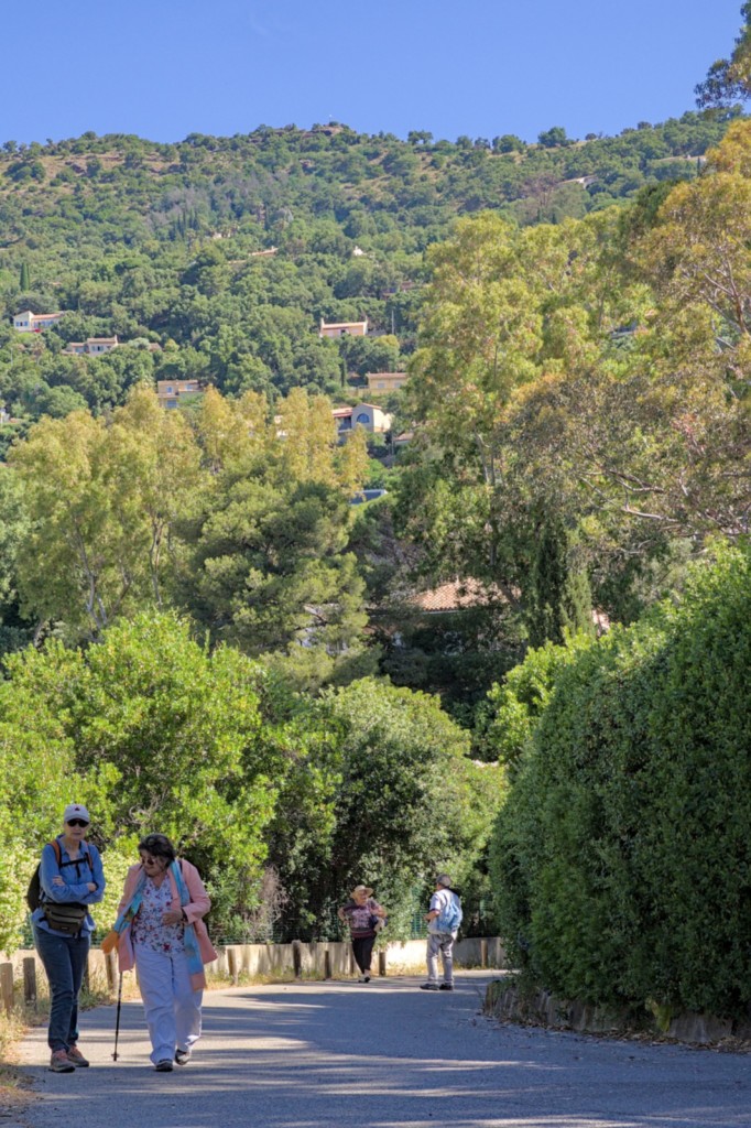 Jardin des Méditerranées - 03 06 2024 (2).jpg
