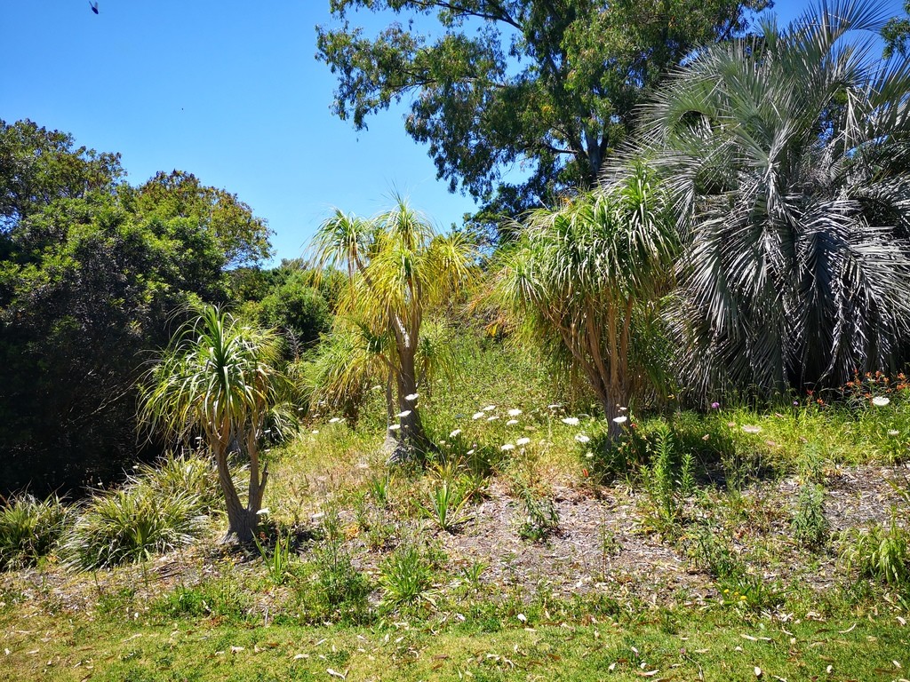 Jardin des Méditerranées - 03 06 2024 (38).jpg