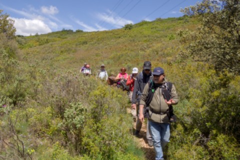 03 05 2024 - Rando Photos (21).jpg