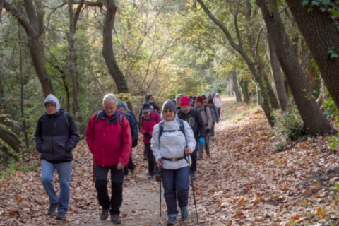 03 12 2024 - Rando Photos (15).jpg