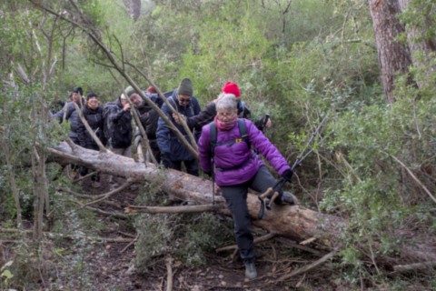 03 12 2024 - Rando Photos (19).jpg