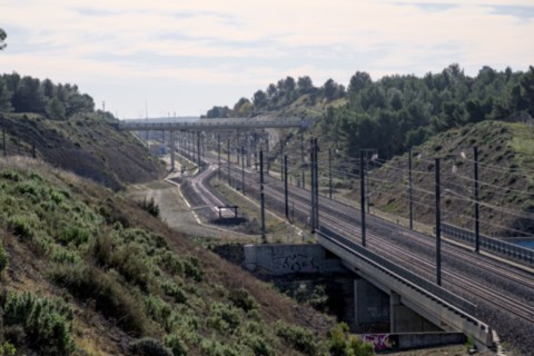 03 12 2024 - Rando Photos (25).jpg