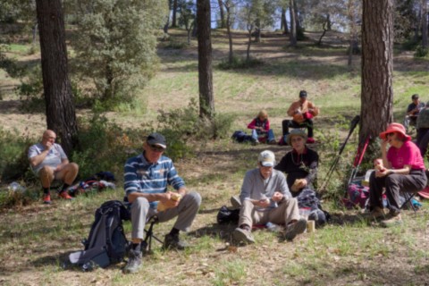 05 04 2024 - Rando Photos (11).jpg