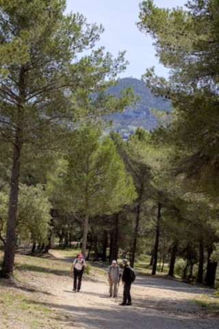05 04 2024 - Rando Photos (15).jpg