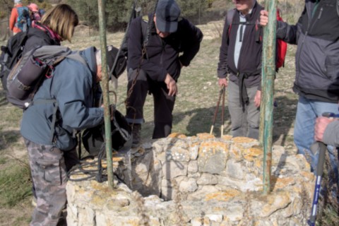06 02 2024 - Rando Photo (32).jpg