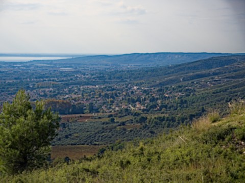 08 11 2024 - Rando Photos (52).jpg