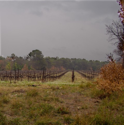 09 02 2024 - Rando Photos (4).jpg