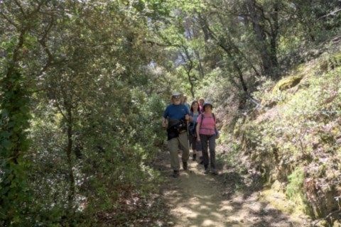 21 05 2024 - Rando Photos (11).jpg