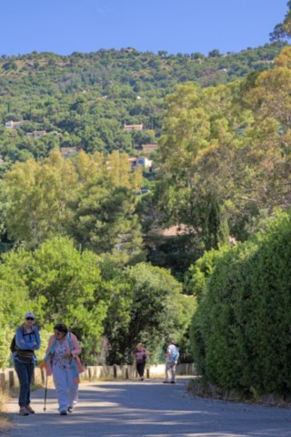 Jardin des Méditerranées - 03 06 2024 (2).jpg