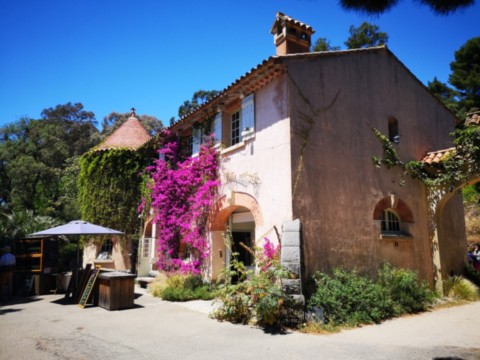 Jardin des Méditerranées - 03 06 2024 (28).jpg