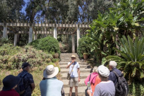 Jardin des Méditerranées - 03 06 2024 (35).jpg