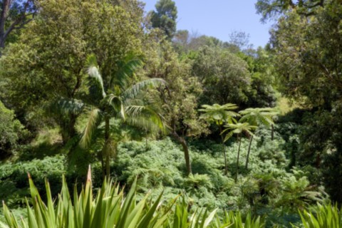Jardin des Méditerranées - 03 06 2024 (43).jpg