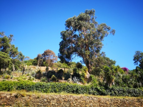 Jardin des Méditerranées - 03 06 2024 (8).jpg